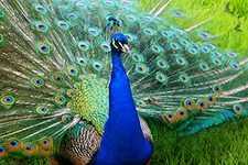 ������� ���� ���� ������� ���������, ������� ���� �� ����� ���, �������� ���� ����� ������� ��������� - ����������