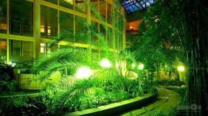 ������� ���� "�����"