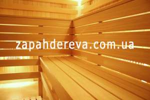 ������� ���� ��������-����������