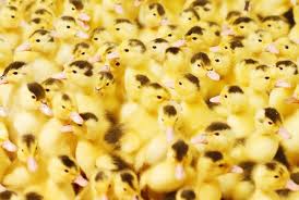 ������� ����500. ����-708. �������� ���-6, ���-9. ����� ������. ��������. ������� ������,������,�������. ����.