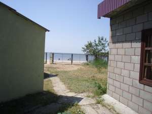 ������� "�����"