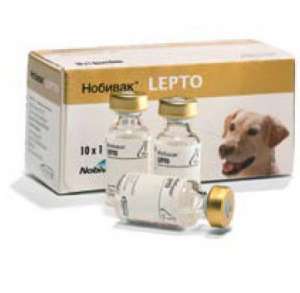 ������� ����� (Nobivac Lepto) �������� - ����������