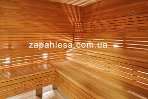 ������� ����� �������