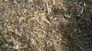 ������� ����� ����������� �� ���������� - ����������