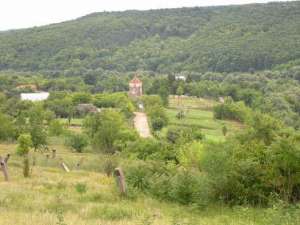 ������� ������ - ����������