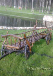 ������� ������