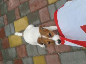 ������� ������!!!