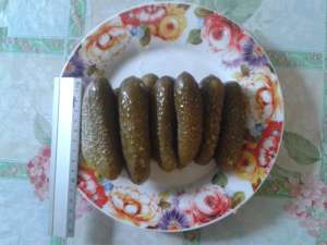 ������� ������