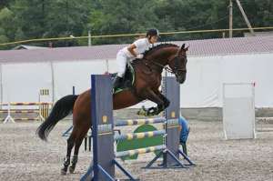 ������� ������