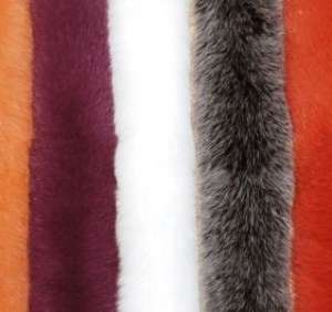 ������� ������ ������.