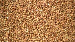 ������� ������ ������ ����� - ����������