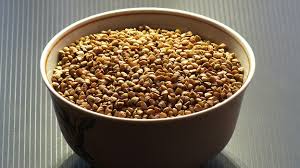 ������� ������ ������ ������ - ����������