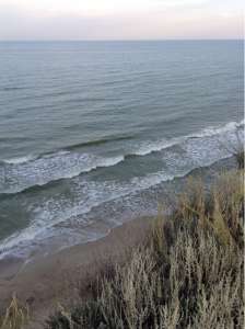 ������� ������, ������� ��� ����� ��������� - �������� ���., �.���������.