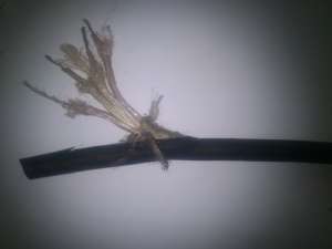 ������� ������ ������� ������ - ����������