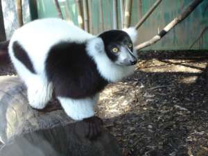 �������, ������, ��������, �����, ��������, ������ - ������ ����� � ���