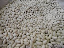 ������� ������. ��������� ���������. ������������ ����� ������. - ����������