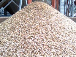 ������� ������ �����������, ������������ ������� - ����������