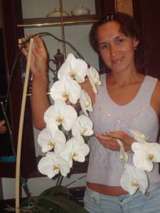 ������� ������� - ����������