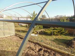 ������� �������