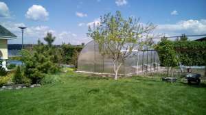 ������� �������