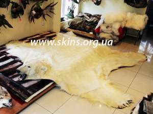 ������� ������� � ������ ���� - ����������