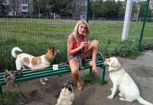 �������. ������� �� ������� � ������ - ����������