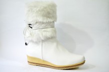 ������� ������� ���� � � �������