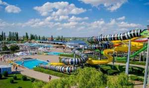 ������� ������� ���� ������ � �������