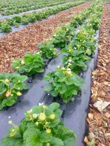 ������� ������� �����. - ����������