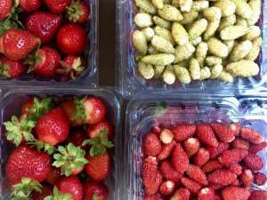 ������� ������� �����.