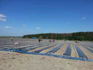 ������� ������� �����.