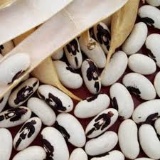 ������� ������� ������ �� ��������� ����� ����� - ����������