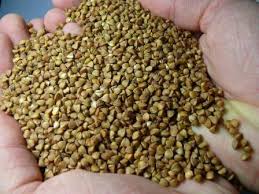 ������� ������� ������ | ��� ���� ������������ | �������� �� ����� - ����������