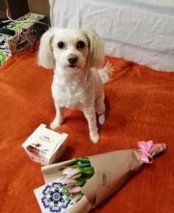 �������, �������, ������ ����� ����� � ������� � ������� �� ��� - ����������