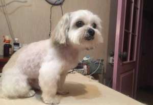 �������, �������, ������ ����� ����� � ������� � ������� �� ���