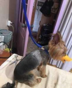 �������, �������, ������ ����� ����� � ������� � ������� �� ���