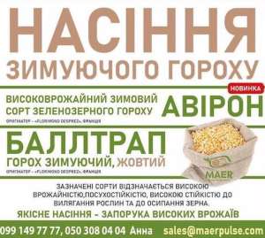 ������� �������, ������ ������� ������ - ����������