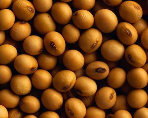 ������� ������� ������� - ����������