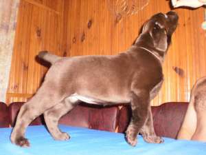 ������� ������� ��������� !!!