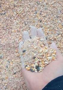 ������� ������� ���������. �����������. - ����������