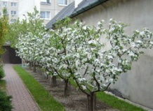 ������� ��������