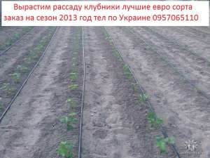 ������� ��������