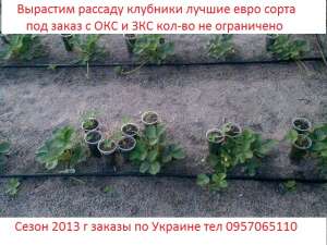 ������� ��������