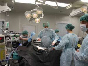 ������� ��������