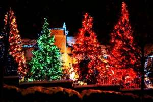 ������� �������� ��� ���� � ��������, �������� �� ����� - ����������