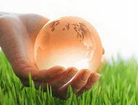 ������� �������� ��� �������� - ����������