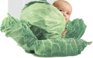 ������� �������� ����� ����������� ��� � ������� ���������� - ����������