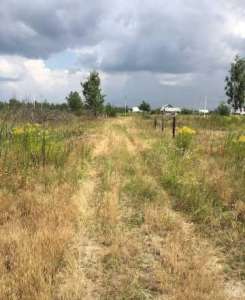 ������� �������� ������ �� ���������! - ����������