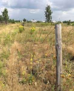 ������� �������� ������ �� ���������!