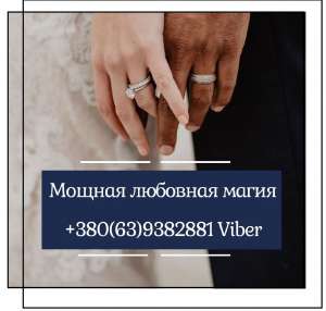 ������� �������� ������. ���������, ������ �� ����������. ������ ����.